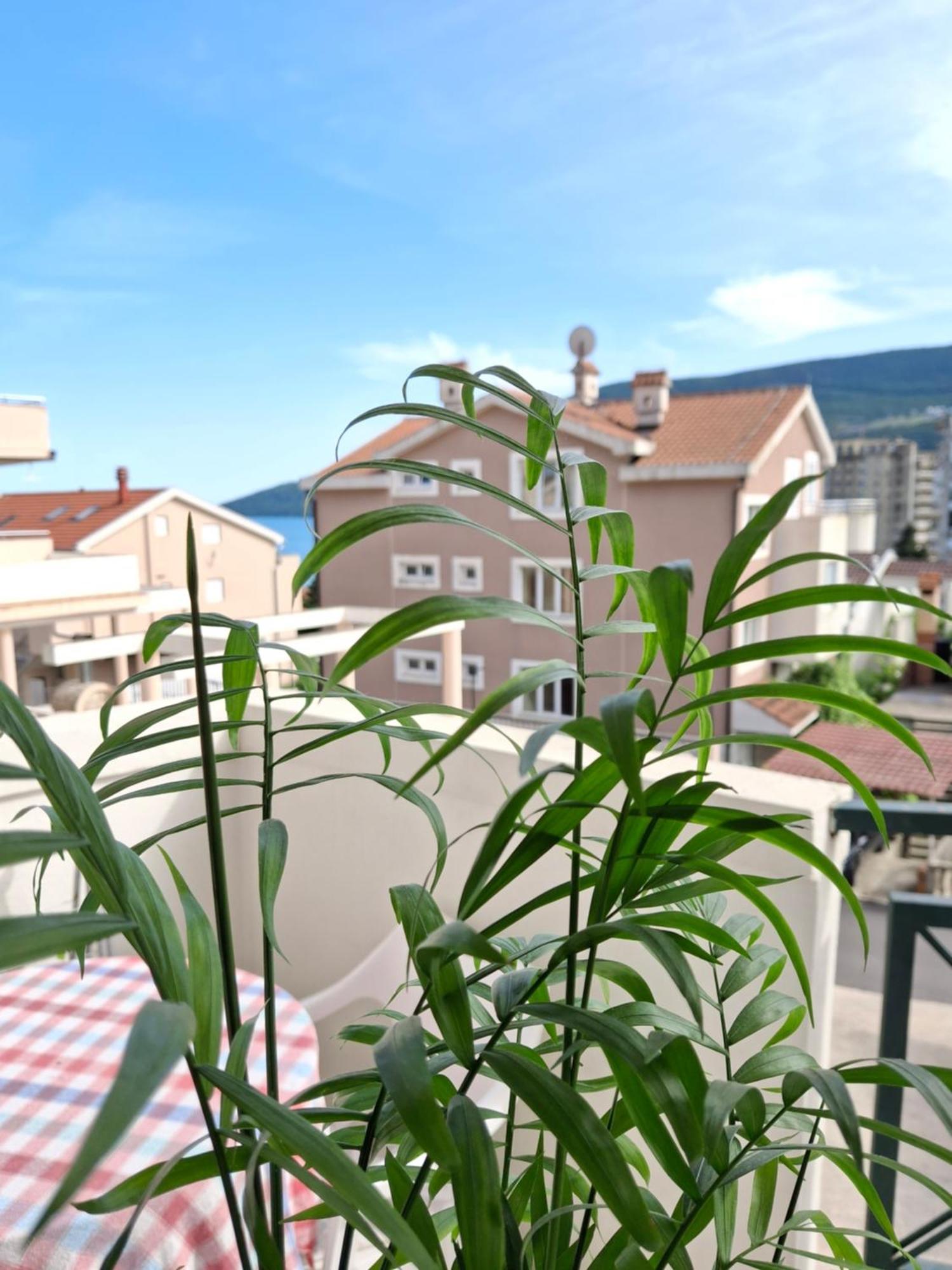 Appartamento Samb Igalo Herceg Novi